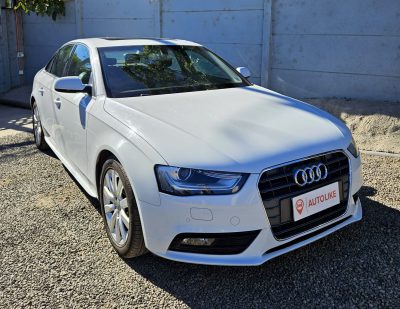 WhatsApp Image 2026-02-17 at 13.14.26